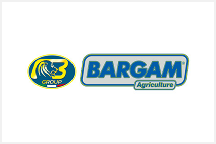 Bargam