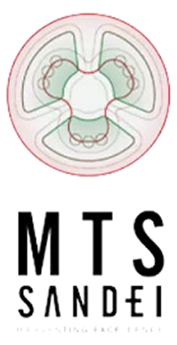 MTS Sandei