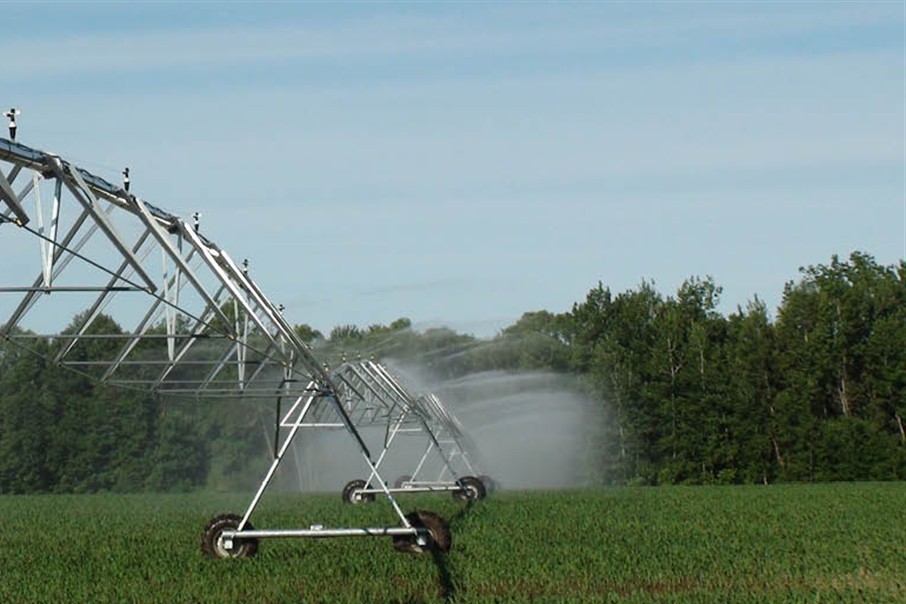 Irrigazione